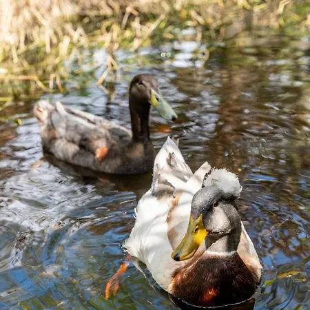 Douce Campagne Private Ferienhaus *