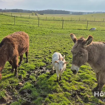 Ferienhaus Douce Campagne Private Blanc (Dordogne)
