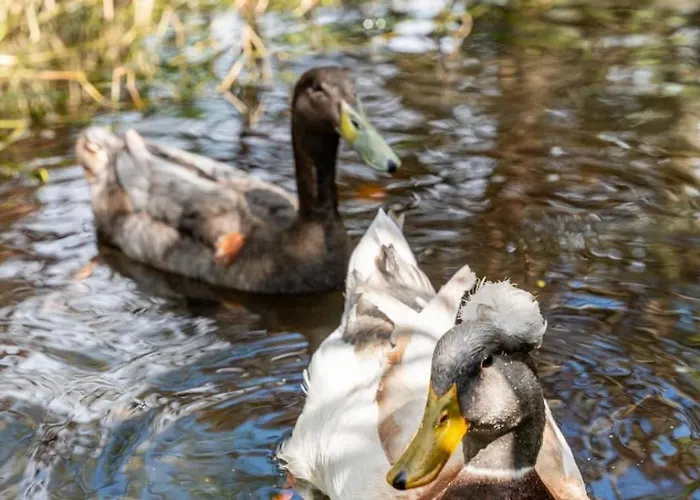 Douce Campagne Private Semesterbostad *